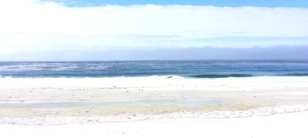 Prosperity for all is not just for Nova Earth it is Now Oceans of Abundance is our birthright.