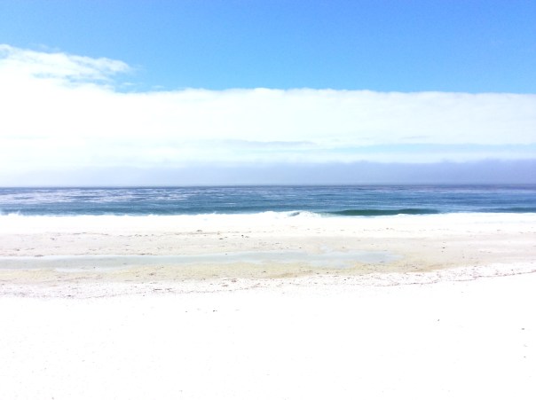 Prosperity for all is not just for Nova Earth it is Now Oceans of Abundance is our birthright.