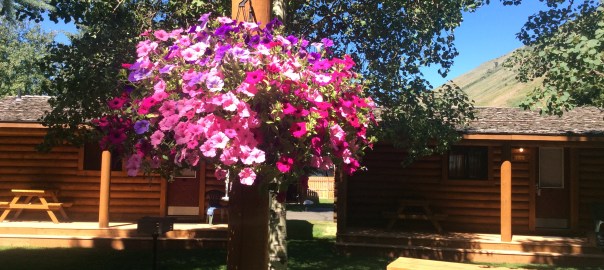 Spiritual Prosperity