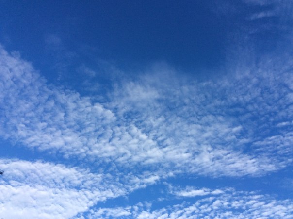 Mother Nature demonstrates Spiritual Prosperity every moment.