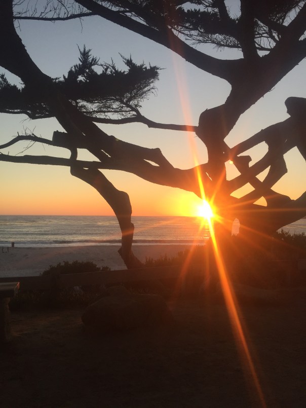 Sunset photo by Hana Wilkins