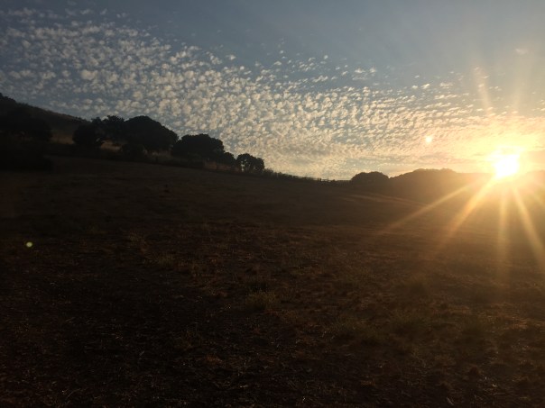 Sunrise photo by Hana Wilkins