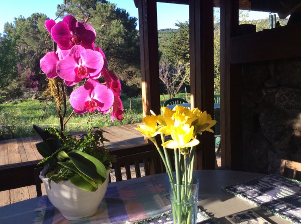 Calling all unemployed angels