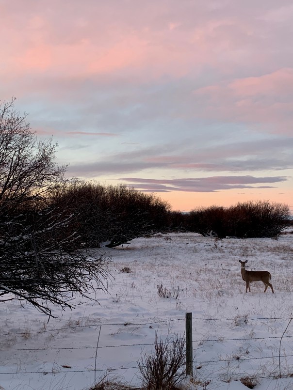 Beauty, Blessings and Bounty