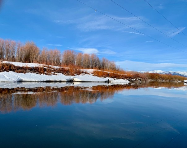 Contemplation, Mindful movement, and Meditation