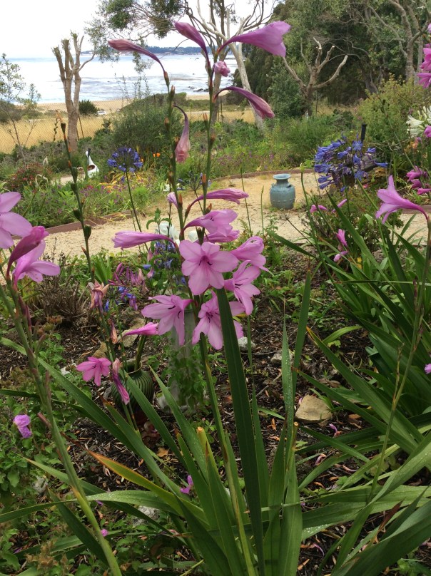 "One breath of nature makes the whole world kin." - Shakespeare