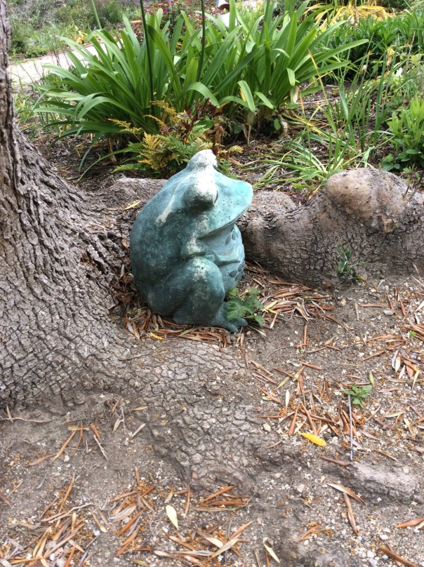 “Imagination is more important than knowledge.” - Albert Einstein