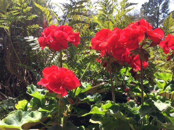 Nina Wilkins art of allowing