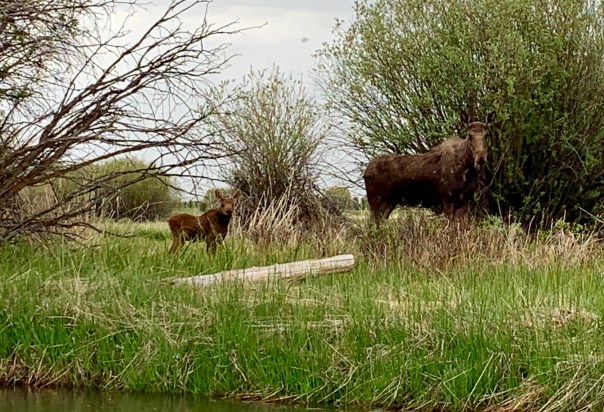 nina wilkins spiritual prosperity