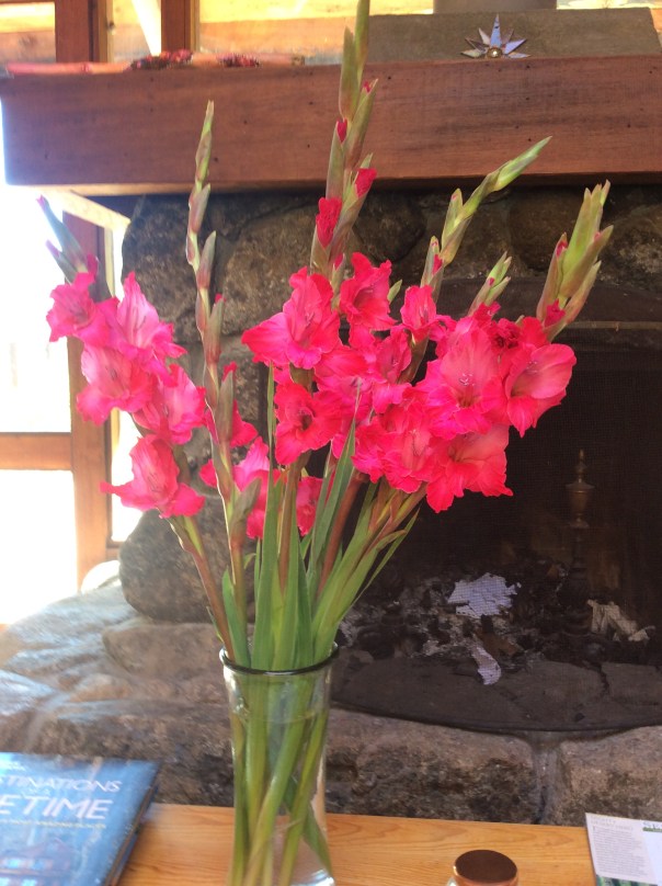 Spiritual Prosperity and the Unified Field 